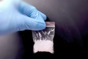 “Ancaman Hukuman Mati” Polda Sulteng Tangkap Kurir Pembawa Sabu 15,Kg