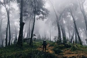 Pendaki Hilang di Gunung Gawalise, Pencarian Ditingkatkan