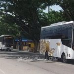 Bus TransPalu