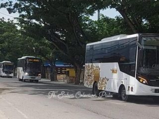 Bus TransPalu