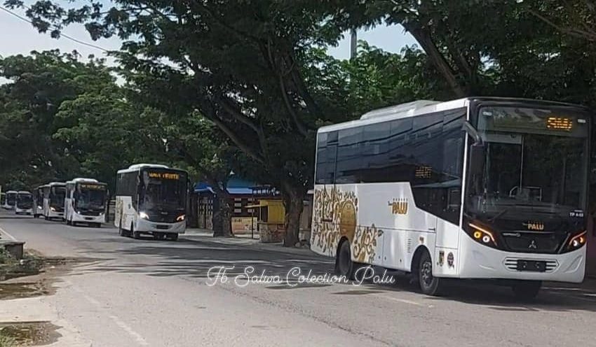 Bus TransPalu