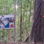 PT. Hengjaya Mineralindo: Antara Kepatuhan Regulasi dan Konflik Penggunaan Lahan Warga