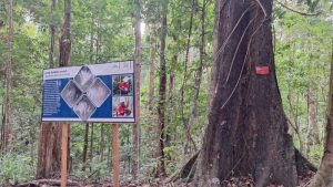 PT.HM : Antara Kepatuhan Regulasi dan Konflik Penggunaan Lahan Warga