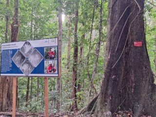 PT. Hengjaya Mineralindo: Antara Kepatuhan Regulasi dan Konflik Penggunaan Lahan Warga
