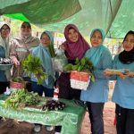 Kebun Toga Dasawisma Talise, Bukti Sukses Pendampingan CPM