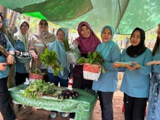 Kebun Toga Dasawisma Talise, Bukti Sukses Pendampingan CPM