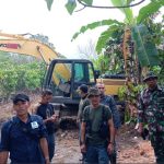 Ekskavator Ilegal Dihentikan di Taman Nasional Lore Lindu
