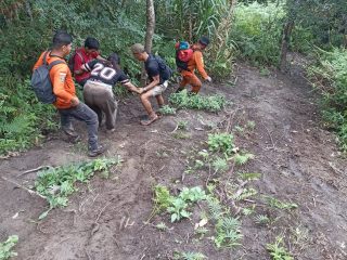 Pendaki Gunung Gawalise Asal Tinggede Ditemukan Selamat oleh Tim SAR Gabungan