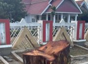 Anwar Hafid Marah Besar: Siapa Tebang Pohon Depan Rujab