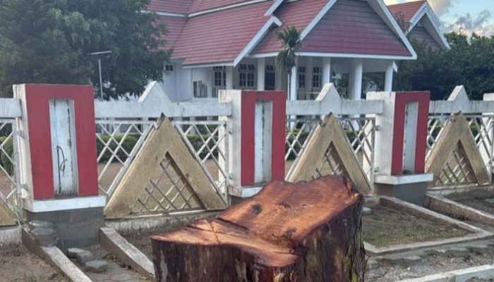 Anwar Hafid Marah Besar: Siapa Tebang Pohon Depan Rujab