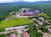 Kontribusi Pajak PT Kurnia Luwuk Sejati Tembus Rp50,78 Miliar di 2025