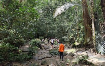 Kakek 90 Tahun Tersesat di Kebun Cokelat, Tim SAR Luwuk Lakukan Pencarian