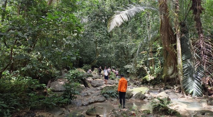 Kakek 90 Tahun Tersesat di Kebun Cokelat, Tim SAR Luwuk Lakukan Pencarian