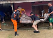 Banjir Rendam Desa Wani Donggala, Tim SAR Evakuasi Warga Terdampak