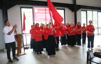 WhatsApp Image 2026-02-11 at 16.55.16